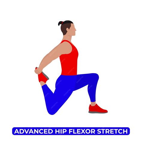 premium vector vector man  advanced hip flexor stretch lunge