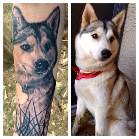 15 Best Husky Tattoo Designs - Inside Dogs World