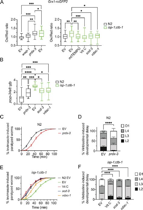 Mitochondrial H 2 O 2 signalling pathway regulates Phase I ...