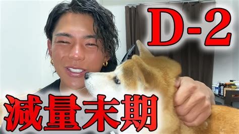 大会まで残り2日。減量末期で極限の1日を愛犬に癒されて乗り切った Youtube