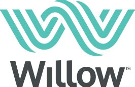 Willow Financial Financial Advice Planning Insurance