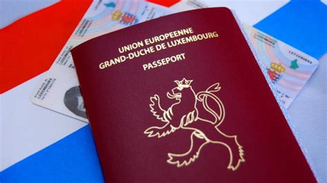 Navigating The Process Of Obtaining A Luxembourg Driver S License