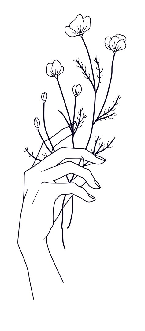 Hand Holding Flower Sketch ~ Hand Holding Flower By Bethanyannewilson ...