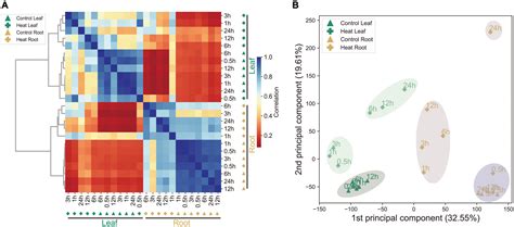 Frontiers Transcriptome Data Reveal Gene Clusters And Key Genes In