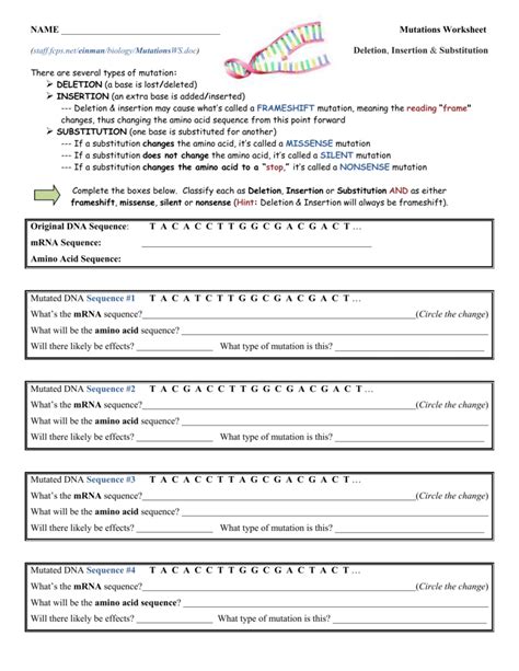 35 Genetic Mutations Worksheet Answer Key Support Worksheet