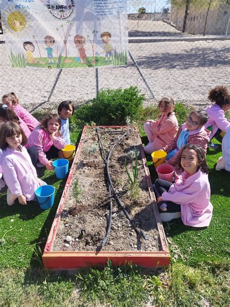 Huerto Escolar CEIP Virgen del Rosario Ontígola Toledo