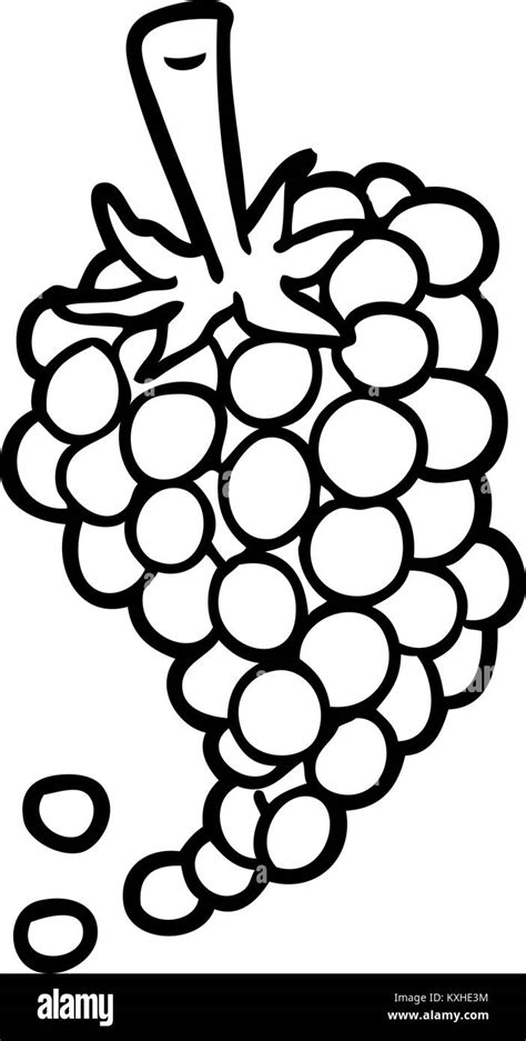 Line Drawing Of A Bunch Of Grapes Stock Vector Image And Art Alamy