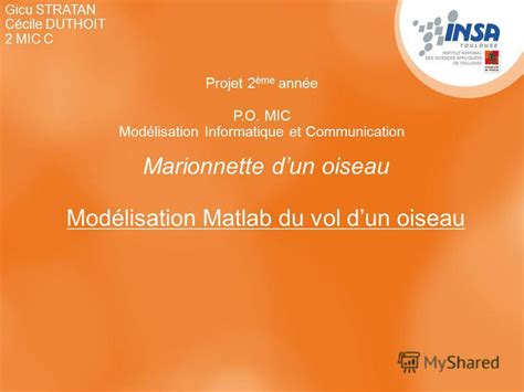 Marionnette Dun Oiseau Mod Lisation Matlab Du Vol