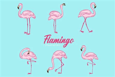 Satz Von Niedlichen Flamingo Rosa Vogel Flamingos Sthetische Tropische