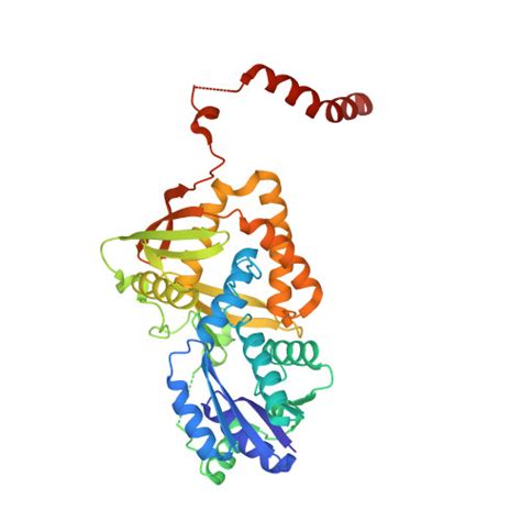 Rcsb Pdb J Z Crystal Structure Of Thermus Thermophilus Hb