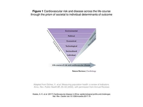 Figure Cardiovascular Risk And Disease Across The Life Course Ppt