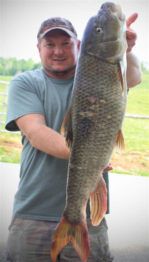 Tennessee Fishing Records & Awards