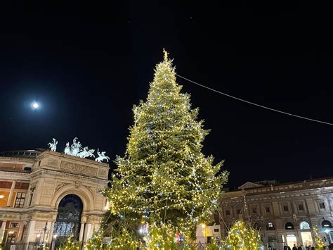 Palermo Acceso L Albero Di Natale In Piazza Politeama VIDEO Live Sicilia