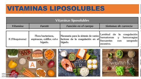 Todo Sobre Las Vitaminas Tipos Y Funciones Caracteristicas Youtube