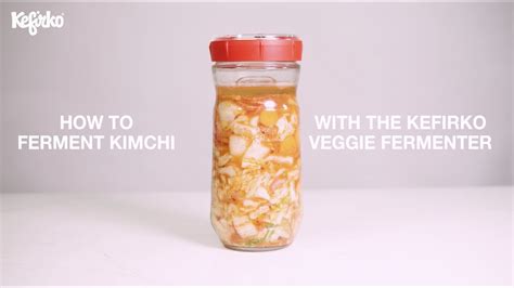 How To Ferment Kimchi With Kefirko Veggie Fermenter Youtube