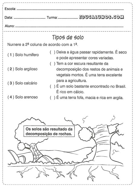 Atividades De Ci Ncias Ano Para Imprimir Fundamento Ciencias