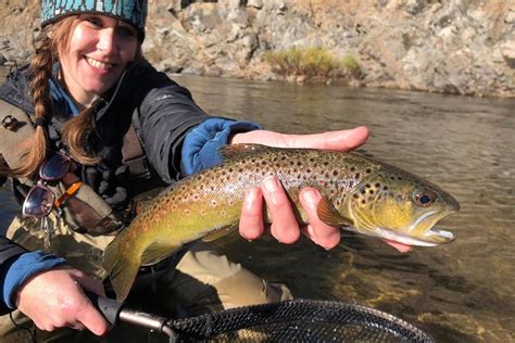 Solo Anglers Private Full Day Fly Fishing Adventure Triphobo