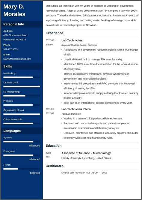 Sample Of It Technician Resume Resume Example Gallery