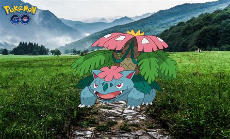 Pok Mon Go Mega Venusaur Como Batalhar Nas Reides Melhores Ataques E