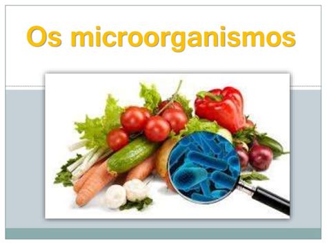 Tipos De Microrganismos