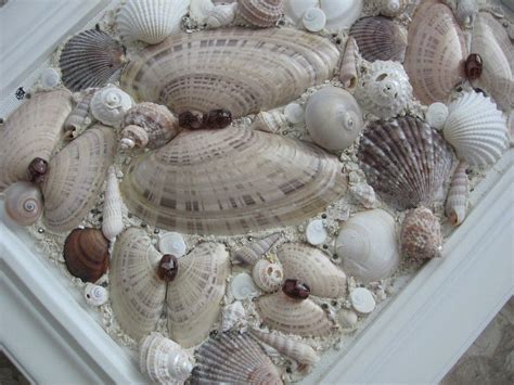 Original Framed Seashell Art Collage Brown White By Seasideshells