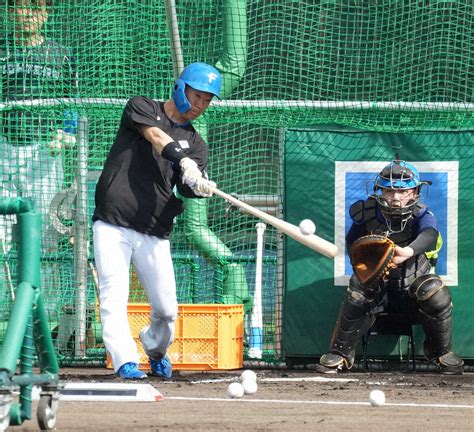 ＜日本ハム・キャンプ＞フリー打撃に励む矢沢（撮影・高橋 茂夫） ― スポニチ Sponichi Annex 野球