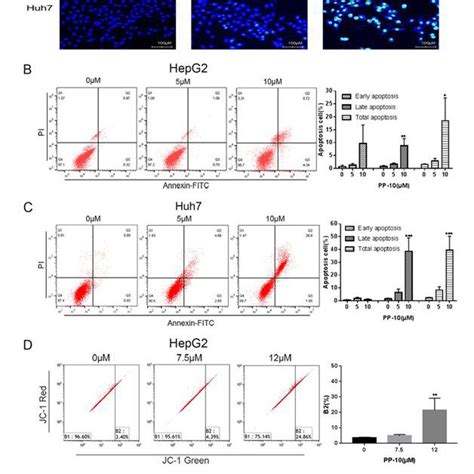 Pp 10 Induces Apoptosis Of Hepg2 And Huh7 Cells A B The