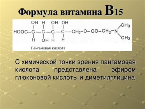 В15 Пангамовая кислота инструкция по применению в каких продуктах ...