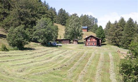 Cabin in Switzerland stock photo. Image of wild, rustic - 195317246