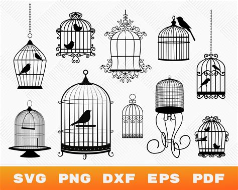 Bird Cage Svg Bird Cage Clipart Bird Cage Silhouette Bird Inside