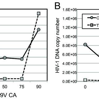 TRIMCyp Inhibits Reverse Transcription Of HIV 1 Particles Containing