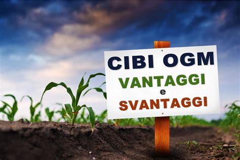 Cibi OGM Vantaggi E Svantaggi