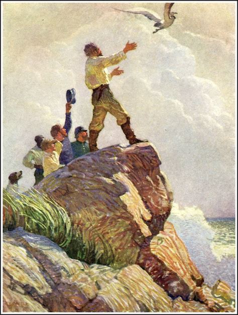 Nc Wyeth Illustration From The Mysterious Island By Jules Verne