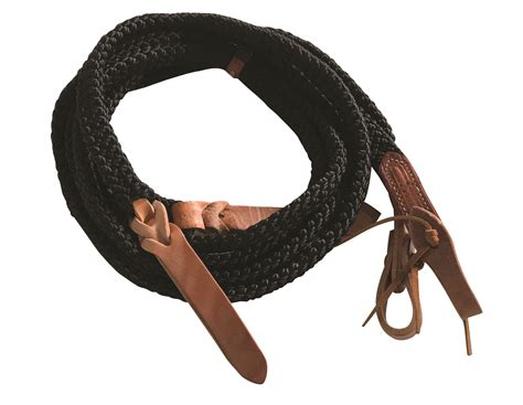 Reins