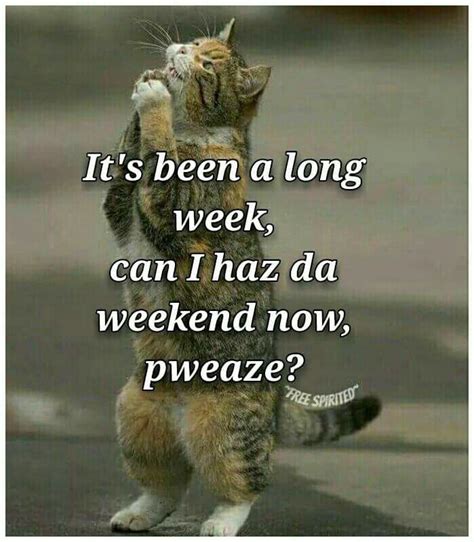 It S Been A Long Week Weekend Quotes Thursday Humor Funny Pictures