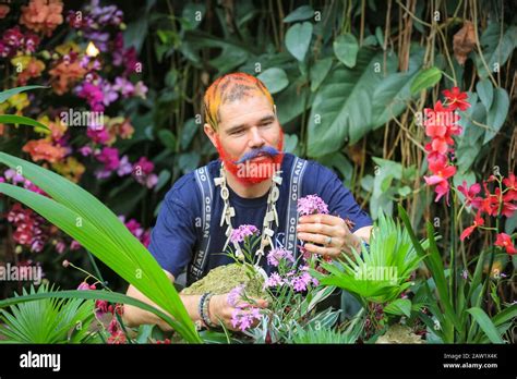 Kew Gardens London Th Feb Kew Volunteer And Master Florist