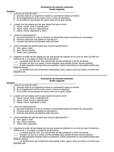 Evaluación De Ciencias Naturales Ciclo De Vida Pdf Germinación Semilla