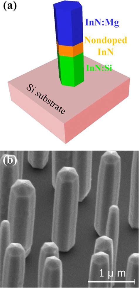 A Schematic Plot Of P I N Inn Nanowire Structure Grown On Si