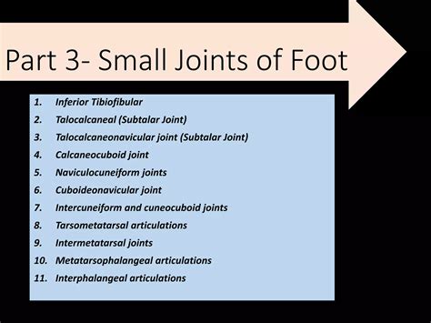 Ankle joint and joints of foot | PPT