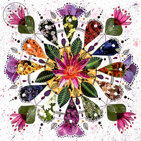 Flower Mandala (fine art print) | Floral prints art, Flower mandala ...