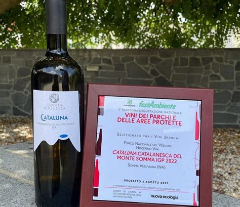 Somma Rassegna Degustazione Nazionale Vini Il Cataluna Catalanesca