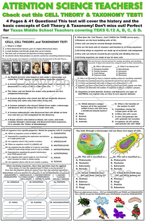 Reinforcement Evolution Worksheet Answers