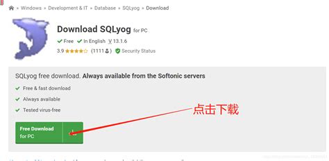 Sqlyog的下载与安装 Sqlyog下载安装教程 Csdn博客