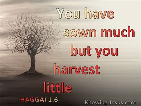 70 Bible Verses About Harvest