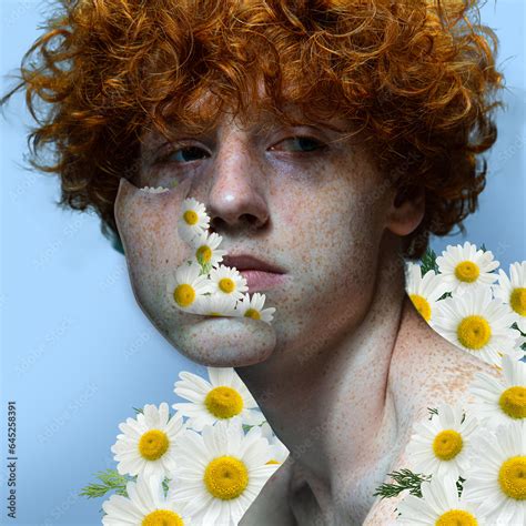 Handsome Redhead Guy With Freckles And Chamomiles Flowers Around Face