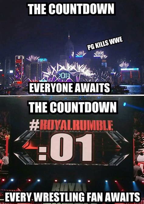 1000 Images About Wwe Memes On Pinterest Nikki Bella Cm Punk And