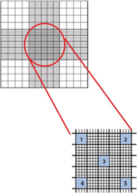 A Hemacytometer Is Used To Count The Number Of Cells In A Suspension