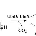 Reaction Catalyzed By The Putative Polyprenyl Decarboxylases Ubid And