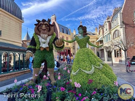 Epcot Flower and Garden Topiaries - Beauty and the Beast - MiceChat