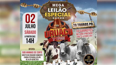 Santiago Leil Es Mega Leil O Especial Urua U Expoagro Youtube